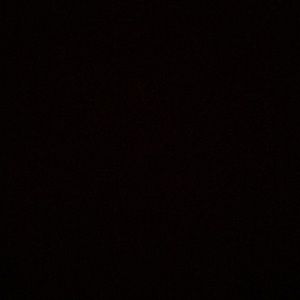 Meet your Posher, Nell